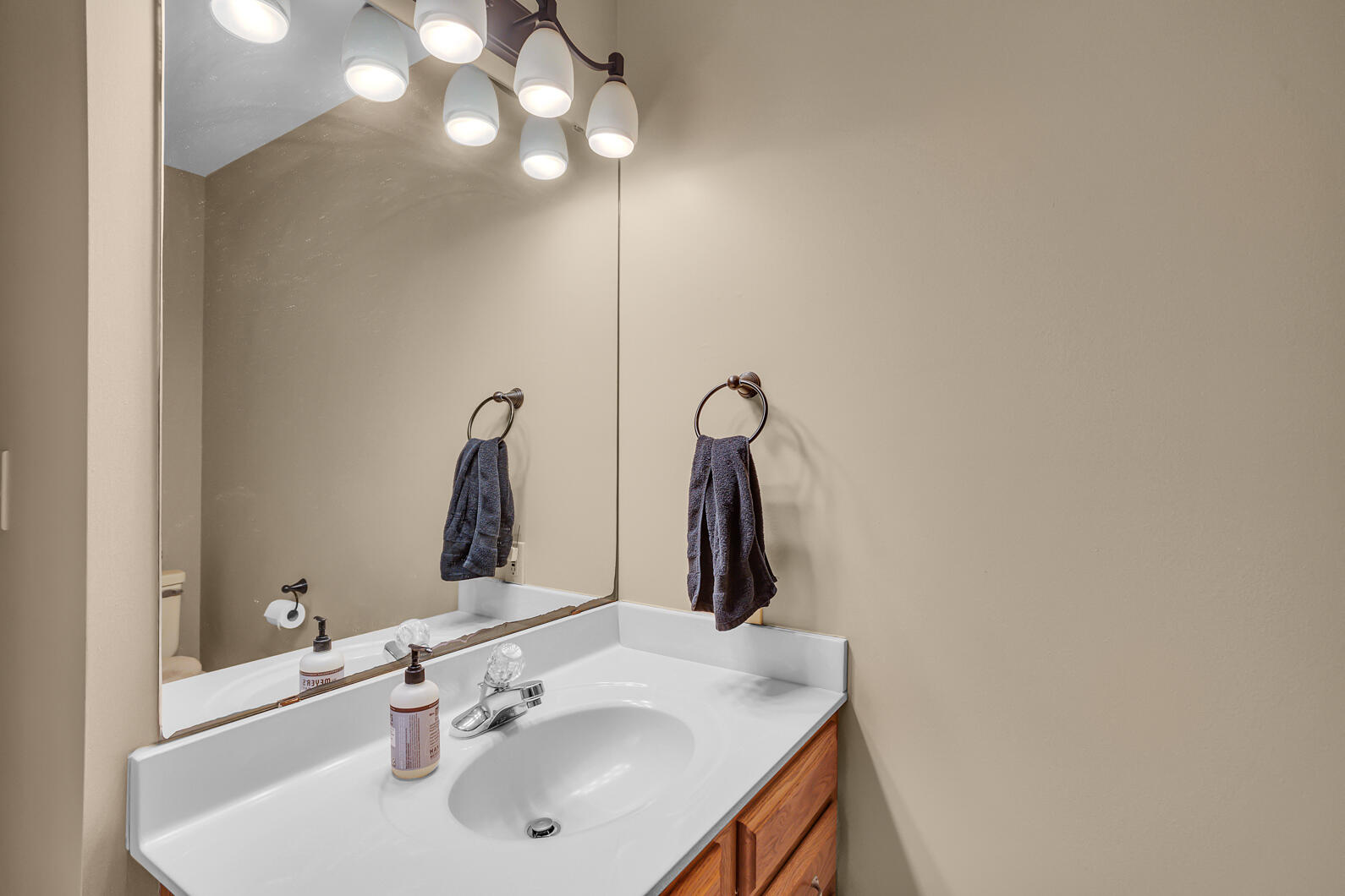 6760 Carter Road Spring Arbor, MI 49283 - Photo 29 of 46 0N0A2454