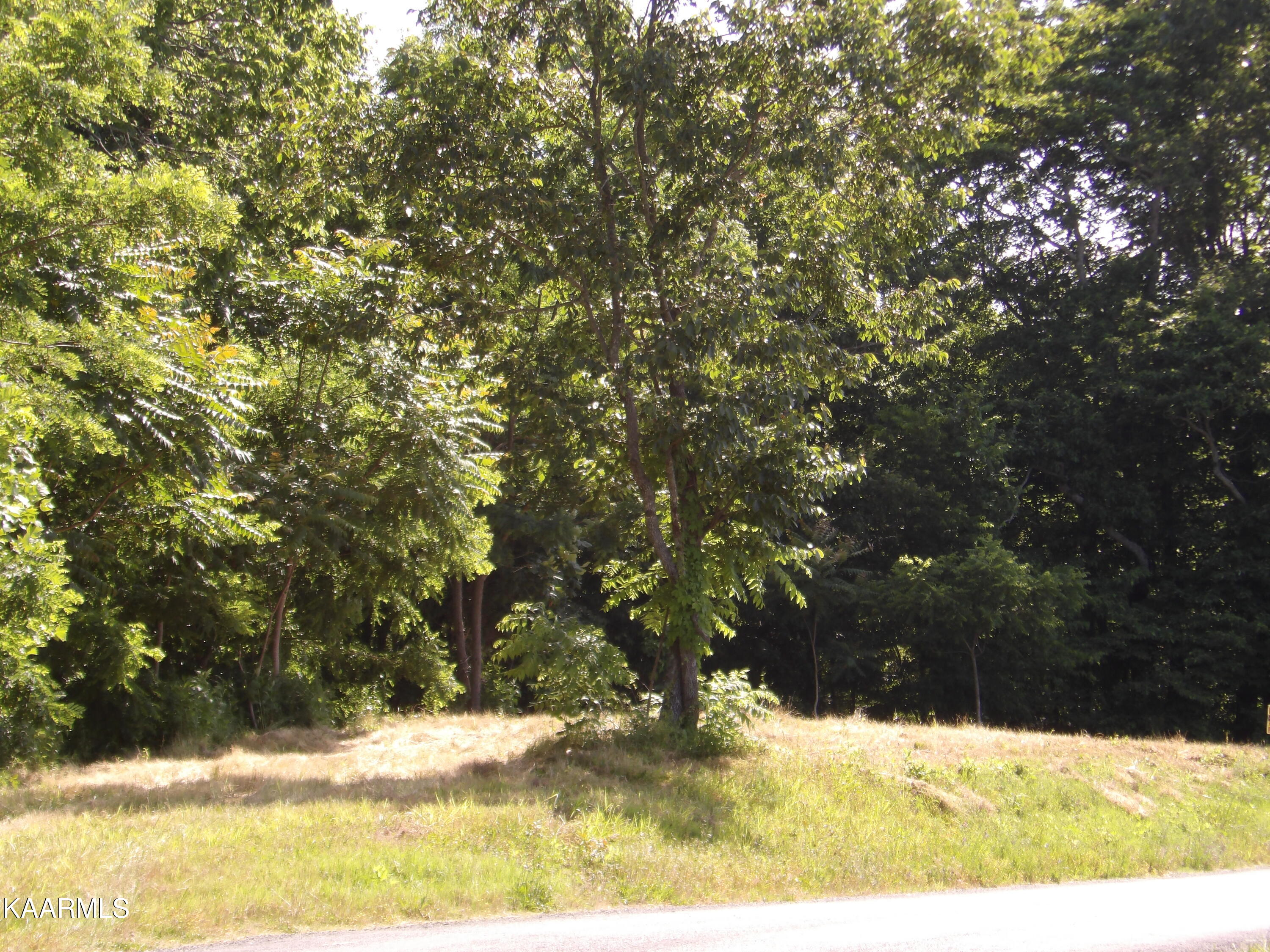478 Haydenburg Road Whitleyville, TN 38588 - Photo 11 of 34 100_0041