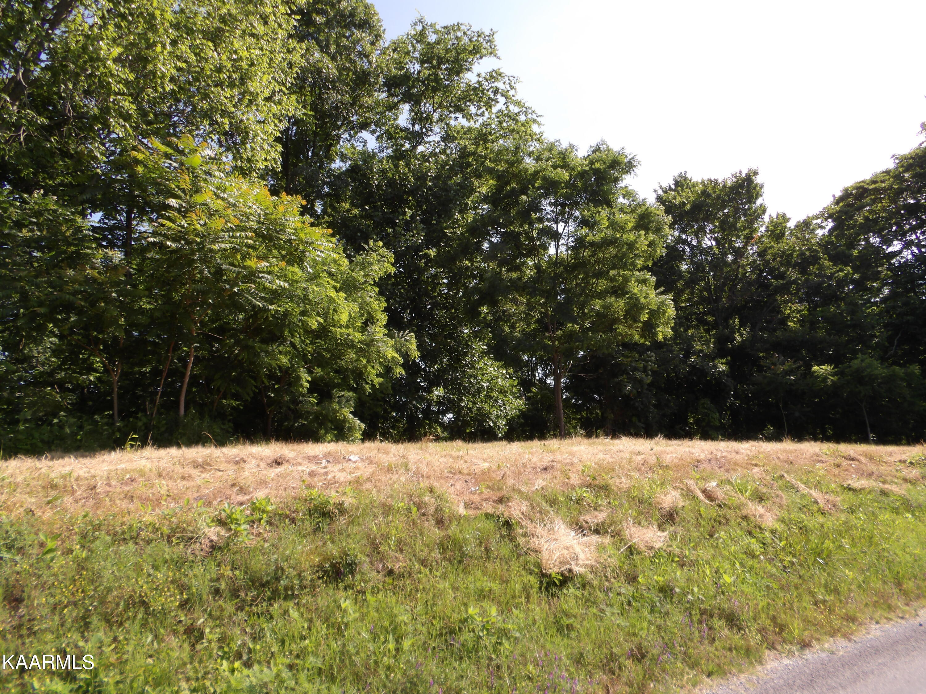 478 Haydenburg Road Whitleyville, TN 38588 - Photo 13 of 34 100_0045