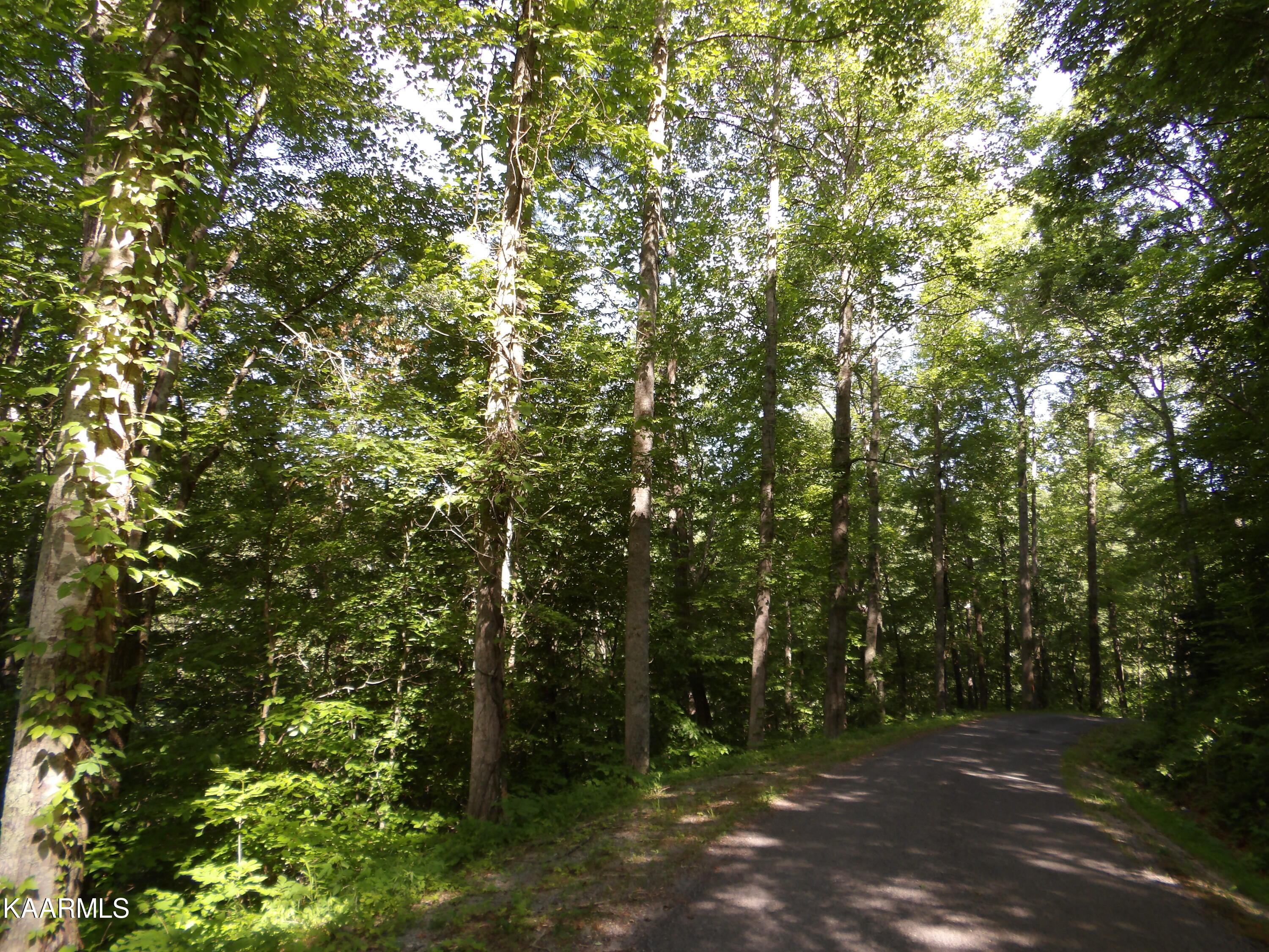 478 Haydenburg Road Whitleyville, TN 38588 - Photo 16 of 34 100_0051