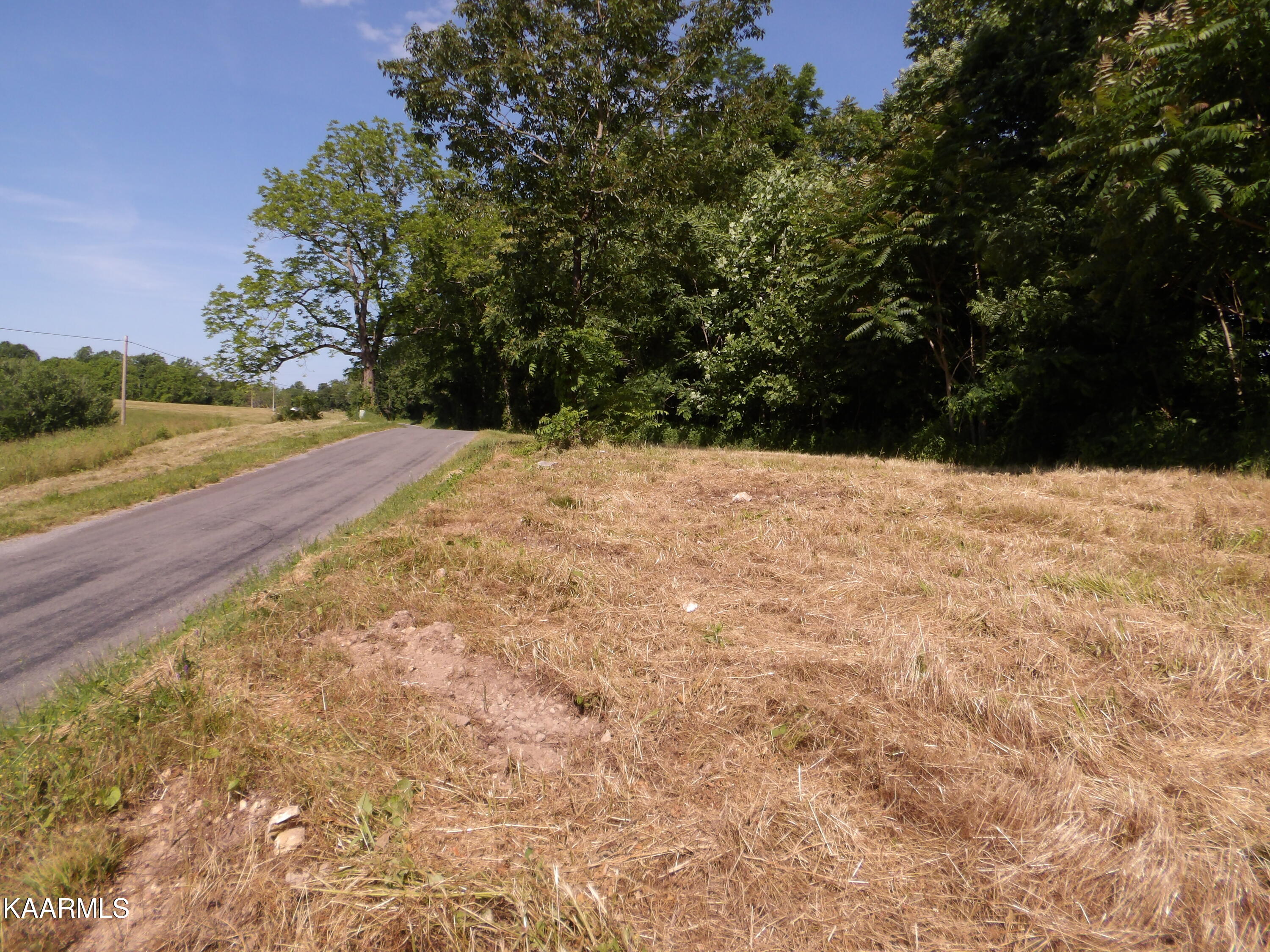 478 Haydenburg Road Whitleyville, TN 38588 - Photo 17 of 34 100_0013