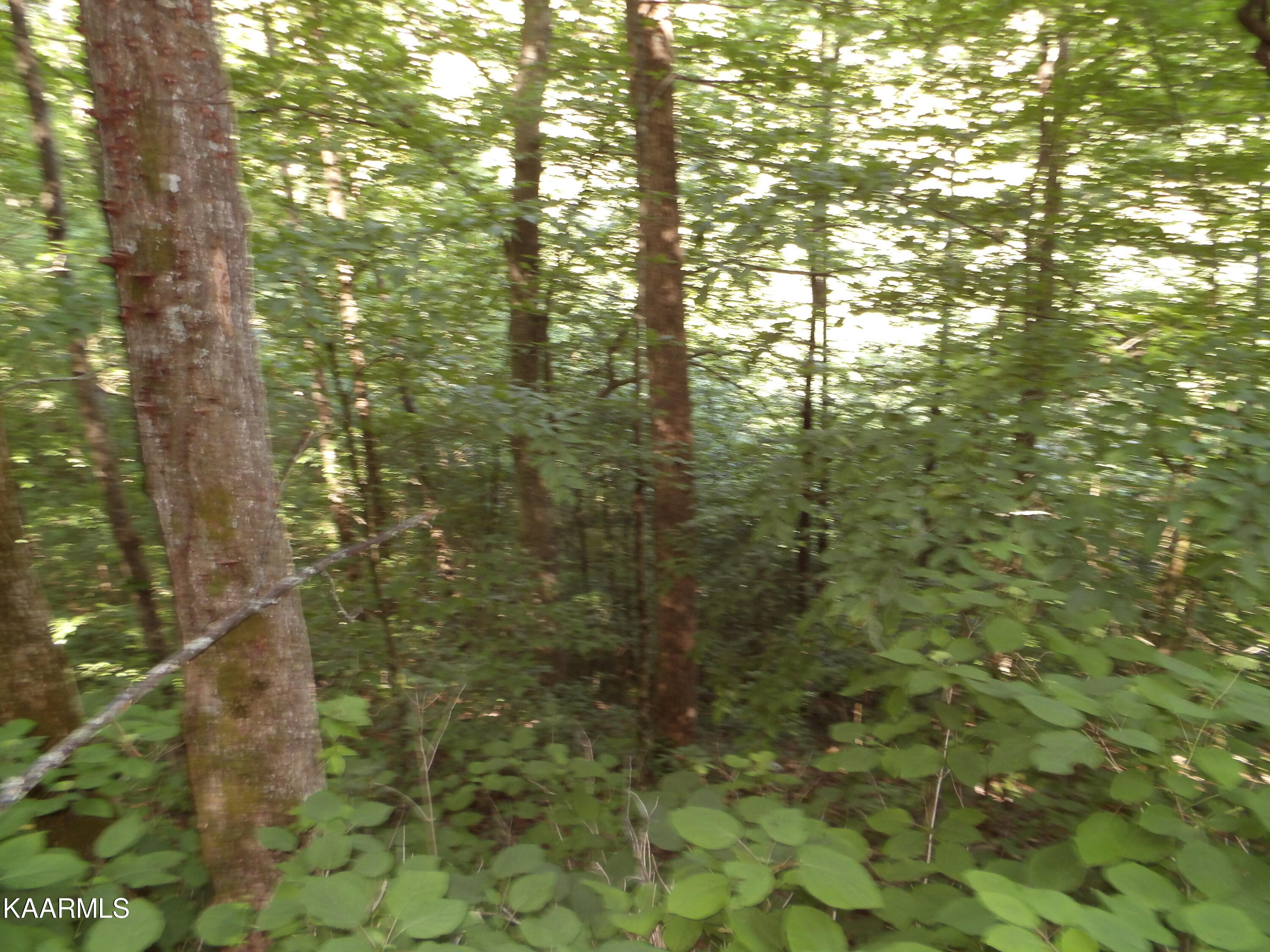 478 Haydenburg Road Whitleyville, TN 38588 - Photo 21 of 34 100_0060