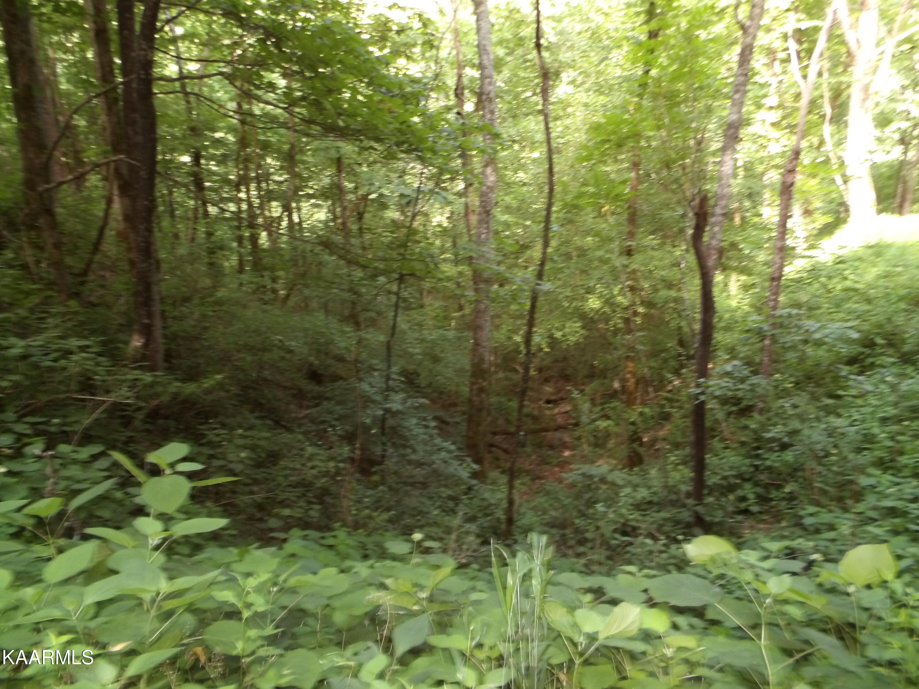 478 Haydenburg Road Whitleyville, TN 38588 - Photo 22 of 34 100_0063