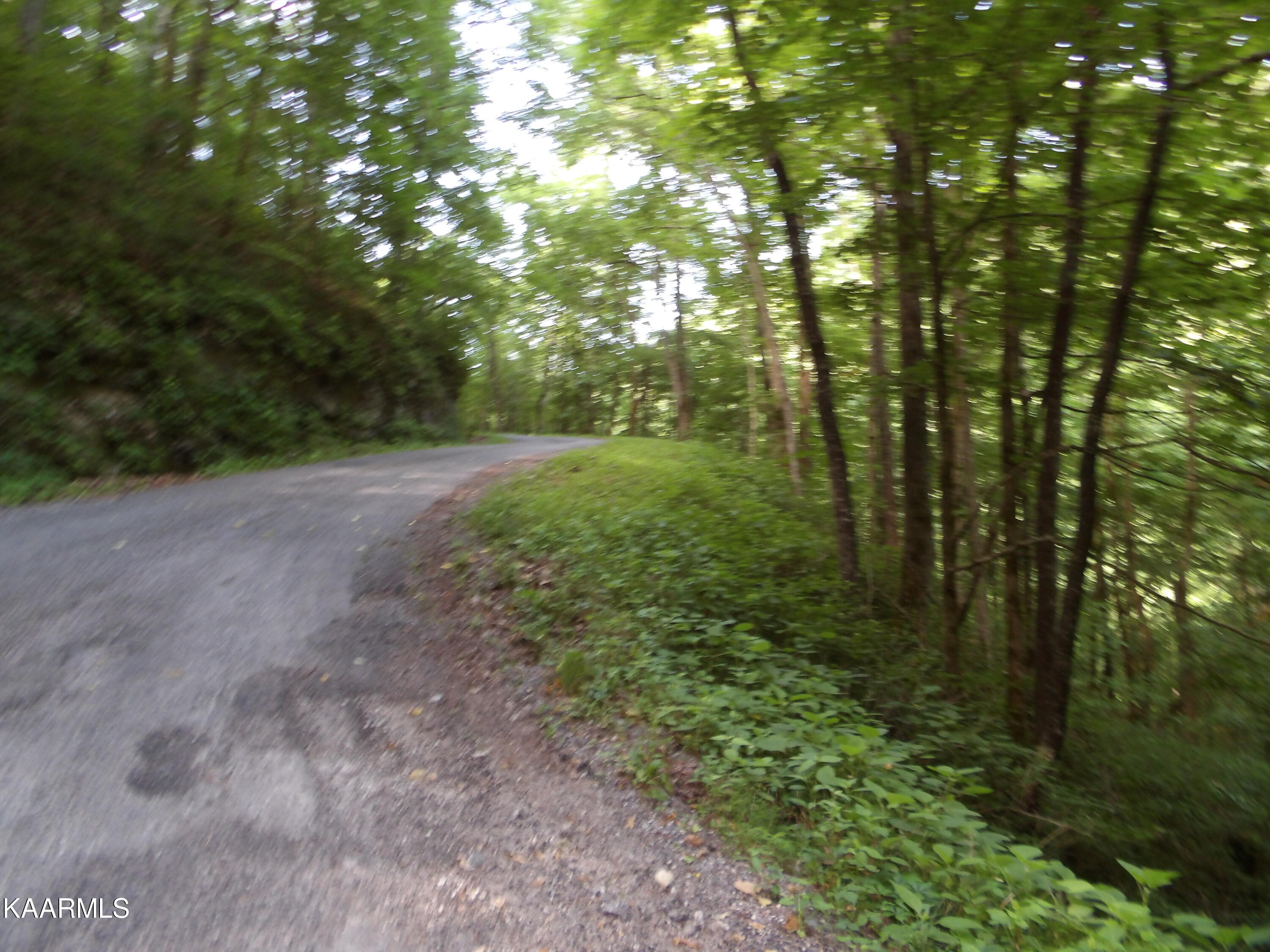 478 Haydenburg Road Whitleyville, TN 38588 - Photo 23 of 34 100_0062