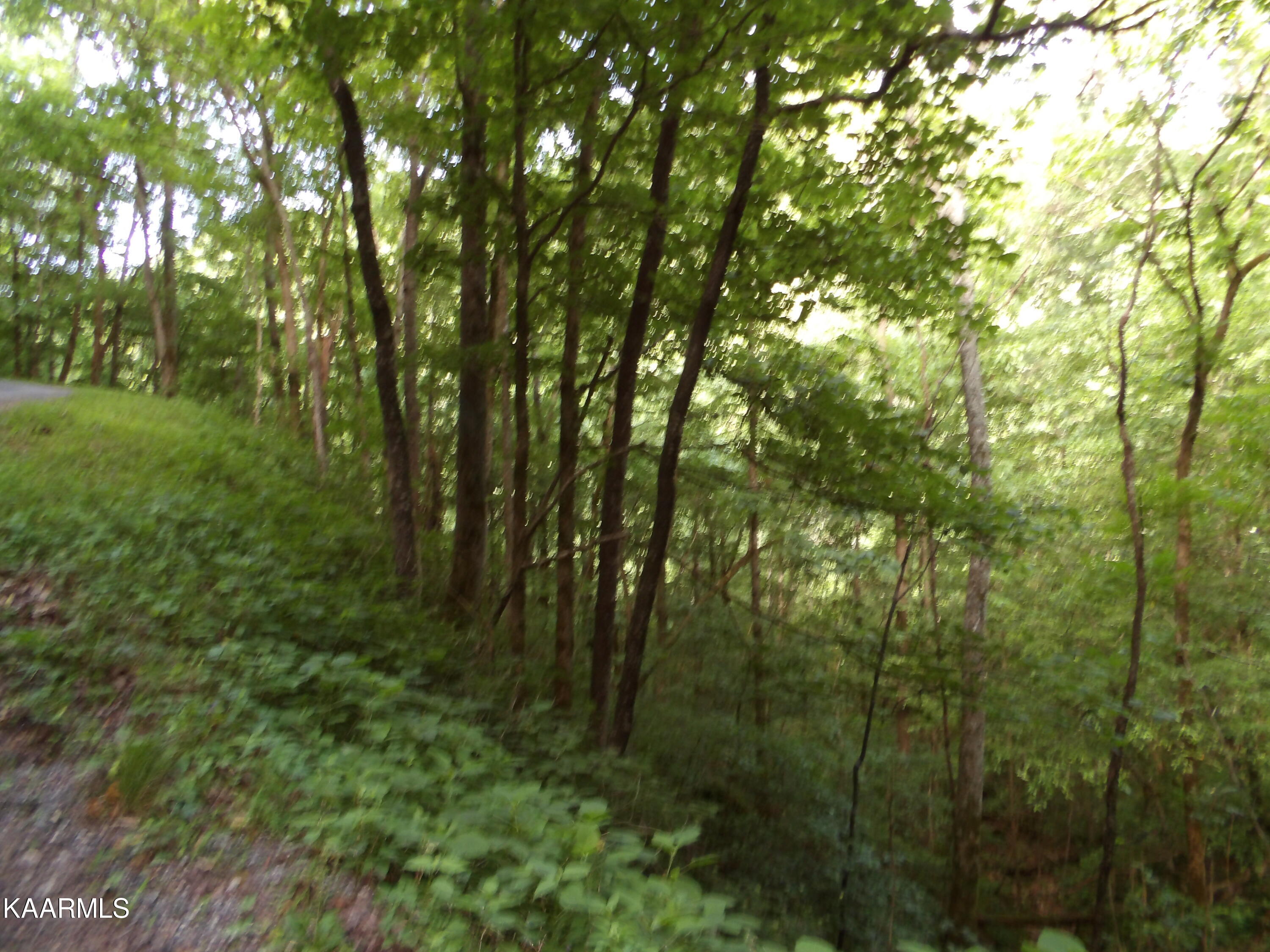 478 Haydenburg Road Whitleyville, TN 38588 - Photo 24 of 34 100_0067