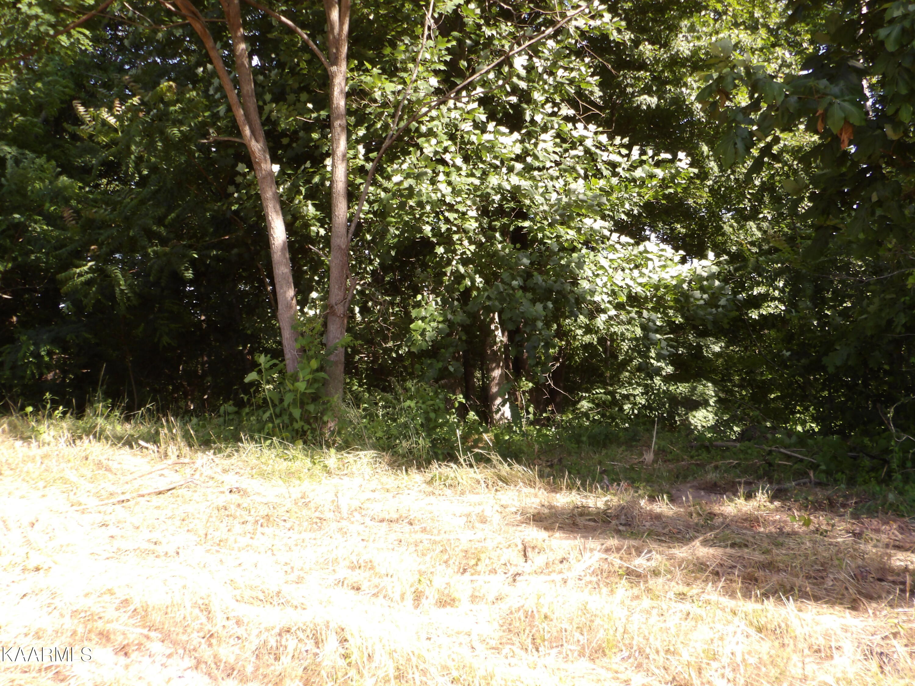 478 Haydenburg Road Whitleyville, TN 38588 - Photo 4 of 34 100_0003
