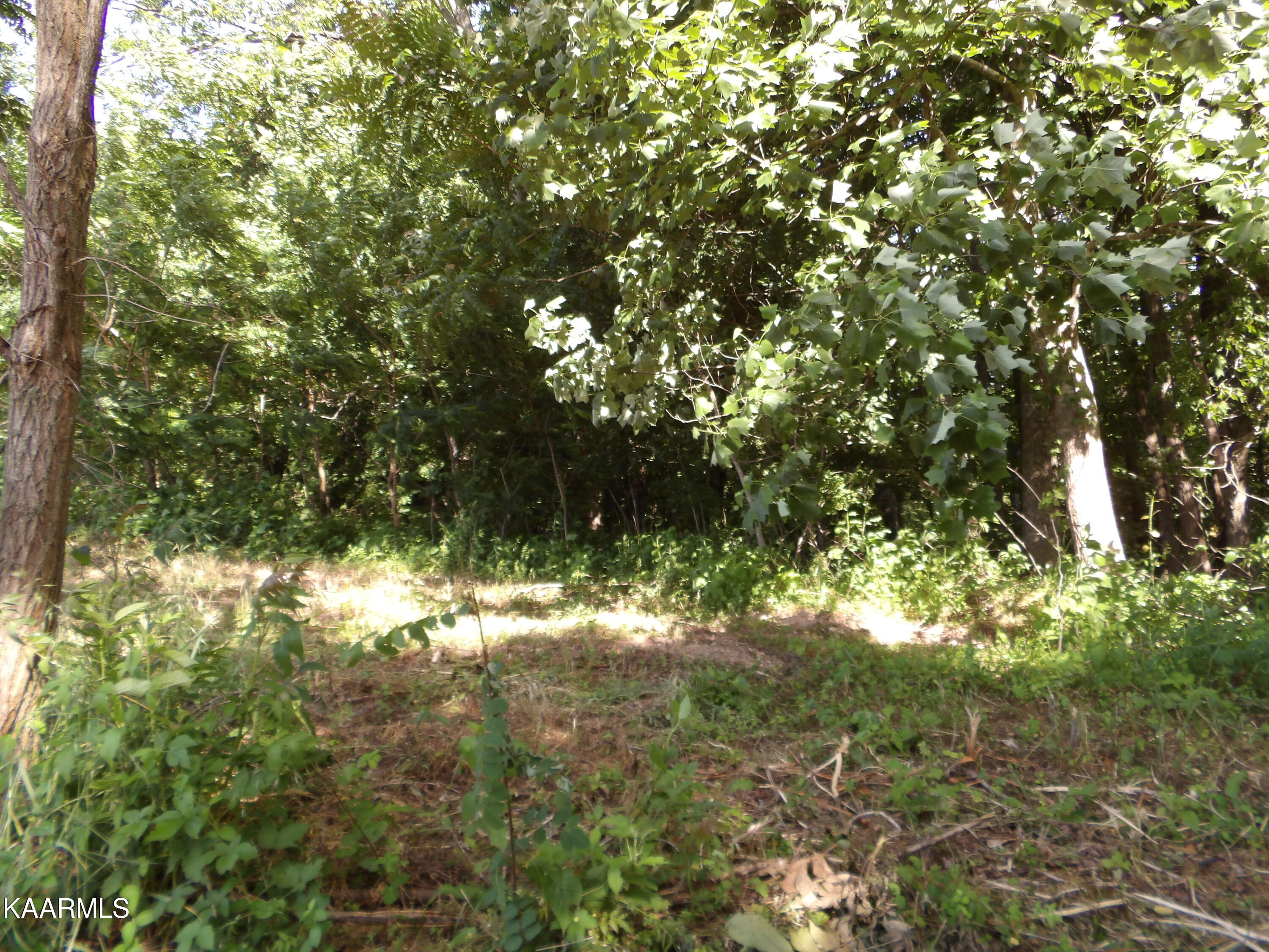 478 Haydenburg Road Whitleyville, TN 38588 - Photo 5 of 34 100_0005