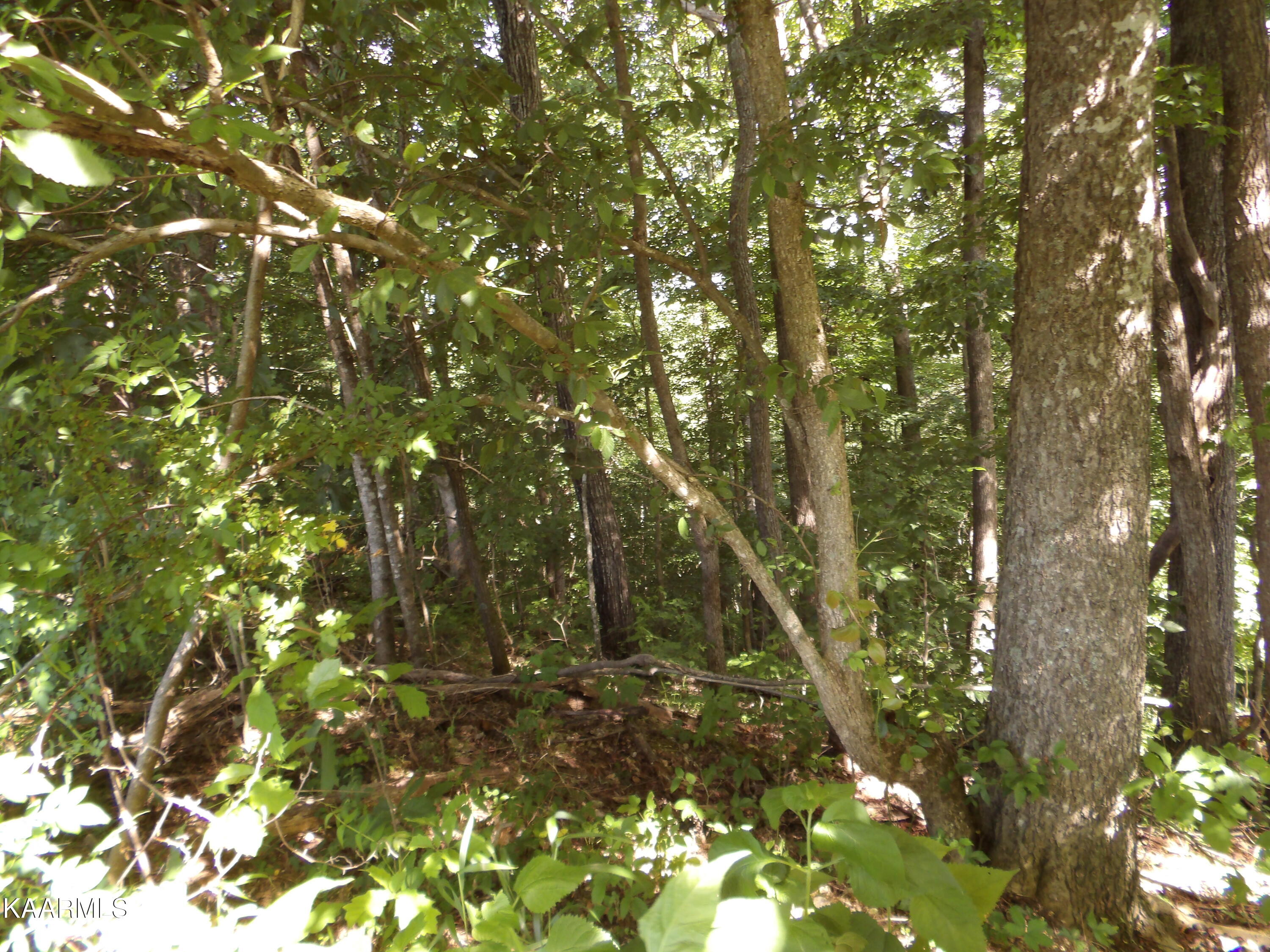 478 Haydenburg Road Whitleyville, TN 38588 - Photo 6 of 34 100_0008