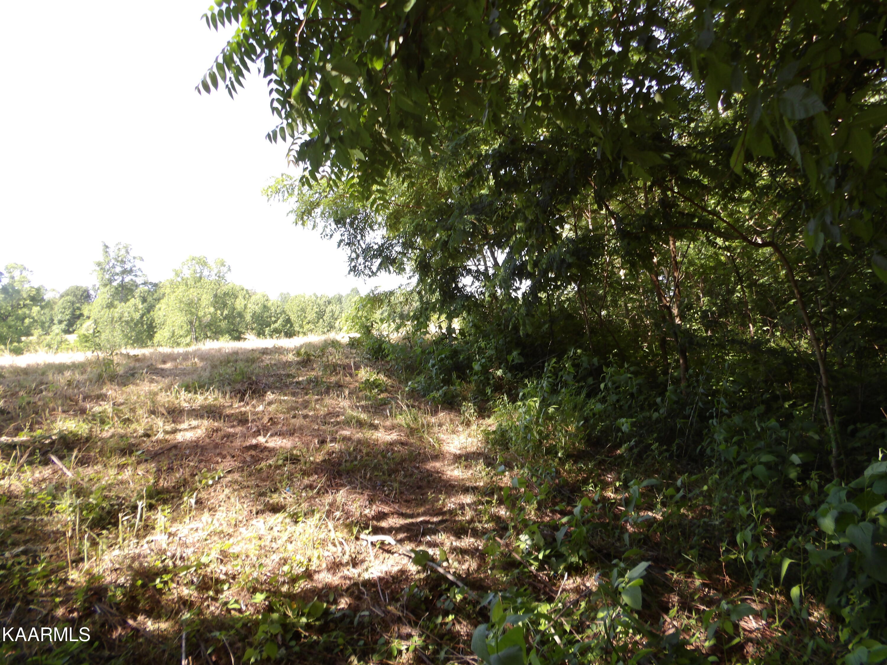 478 Haydenburg Road Whitleyville, TN 38588 - Photo 7 of 34 100_0009