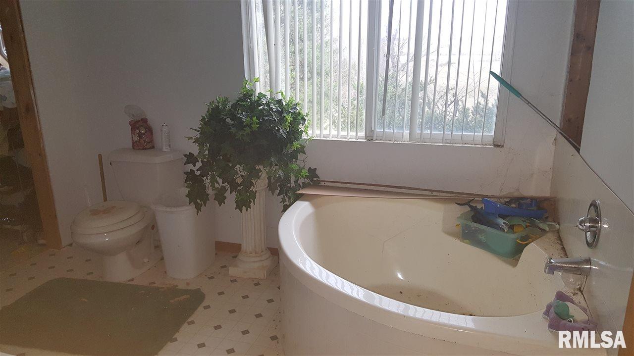 21662 East New Bridge Road Canton, IL 61520 - Photo 12 of 34 Gallery Image 12