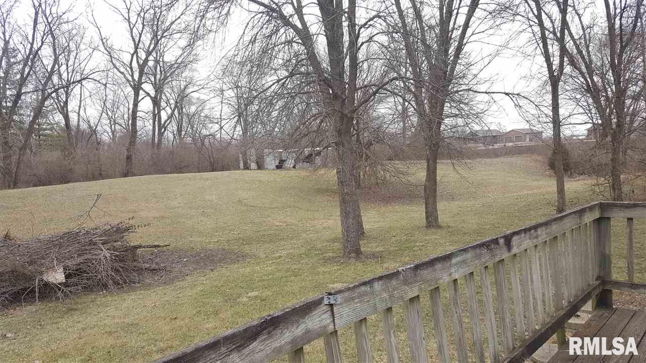 21662 East New Bridge Road Canton, IL 61520 - Photo 29 of 34 Gallery Image 29