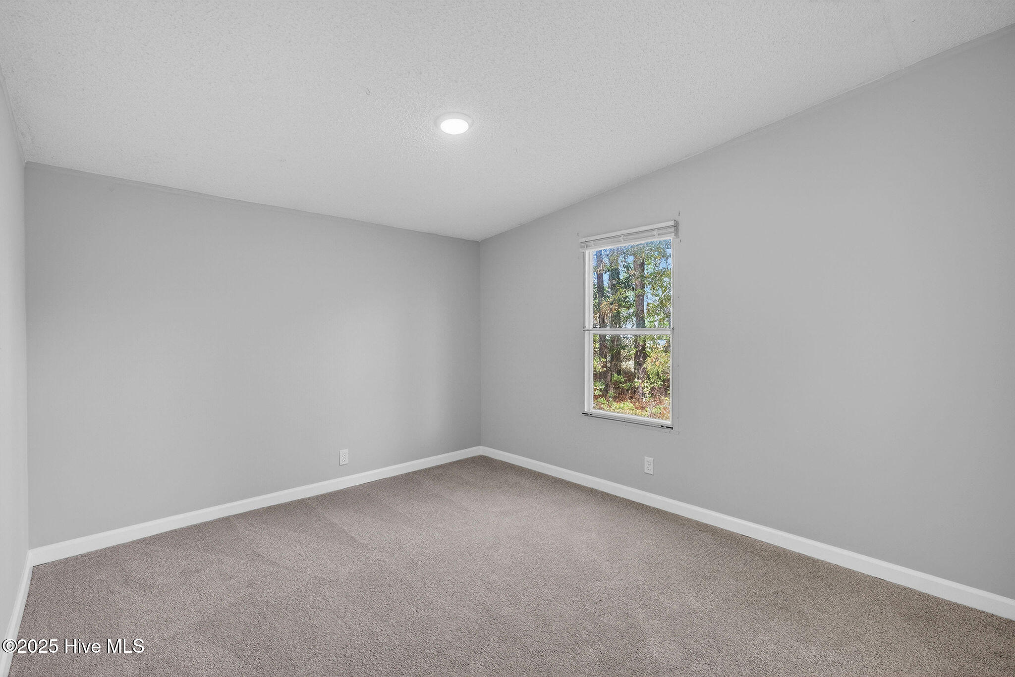 519 Maco Road Northeast Leland, NC 28451 - Photo 18 of 39 519MacoRoadNE-30