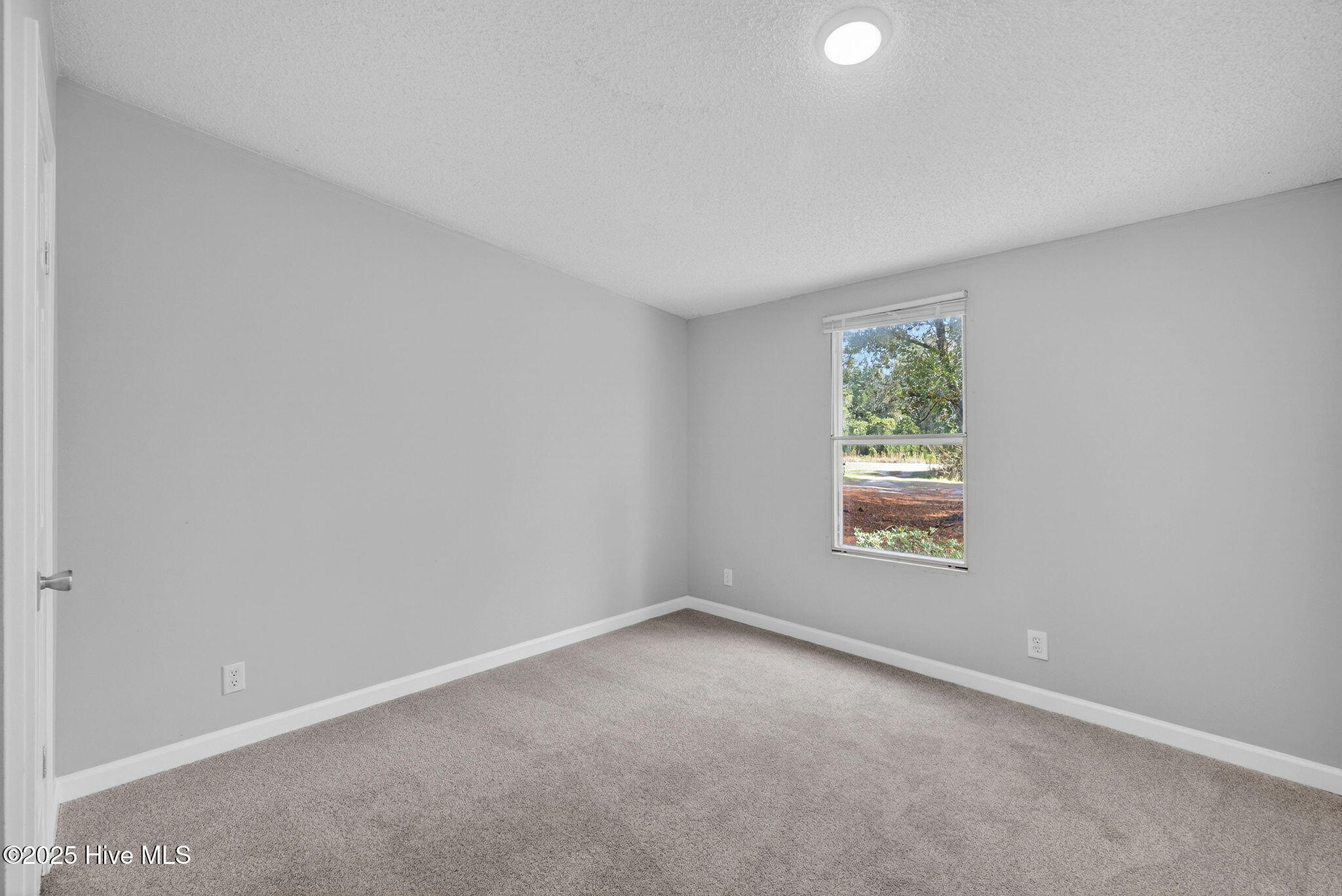 519 Maco Road Northeast Leland, NC 28451 - Photo 21 of 39 519MacoRoadNE-34