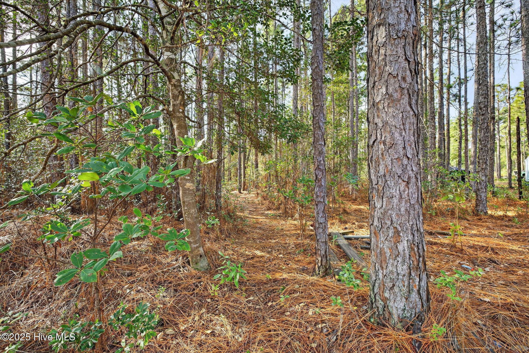 519 Maco Road Northeast Leland, NC 28451 - Photo 30 of 39 519MacoRoadNE-11