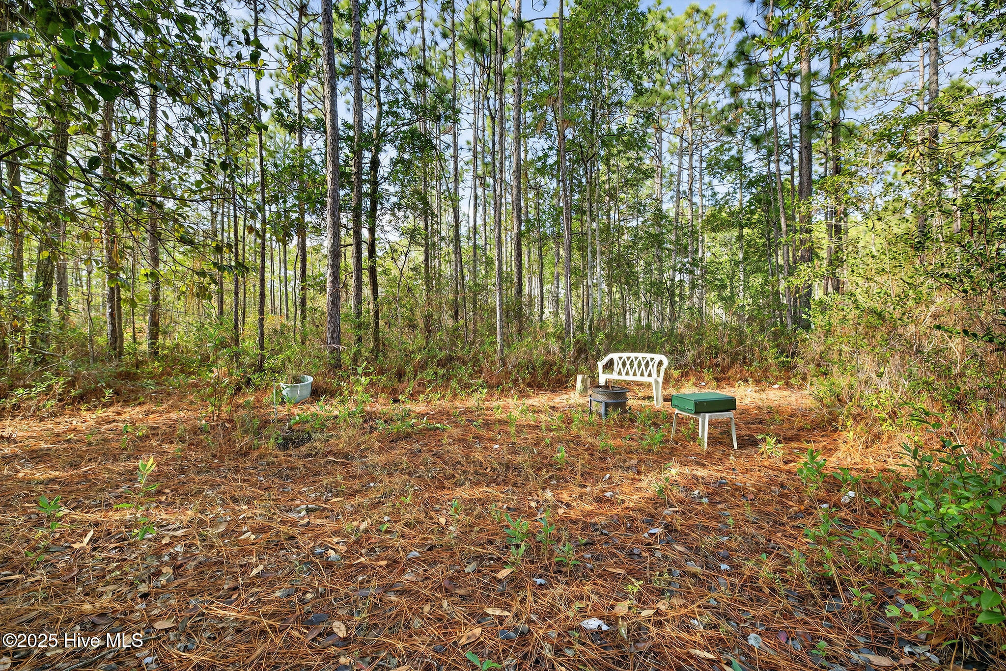 519 Maco Road Northeast Leland, NC 28451 - Photo 32 of 39 519MacoRoadNE-13
