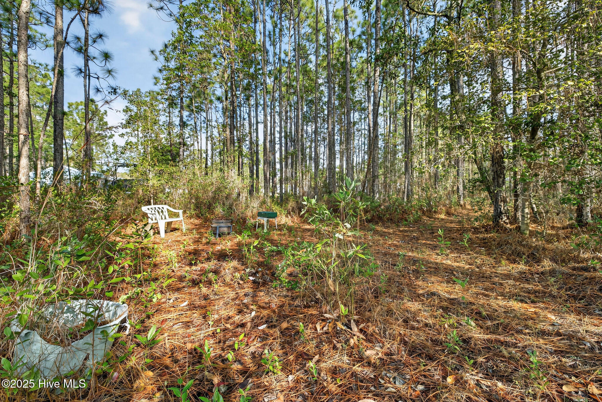 519 Maco Road Northeast Leland, NC 28451 - Photo 33 of 39 519MacoRoadNE-14