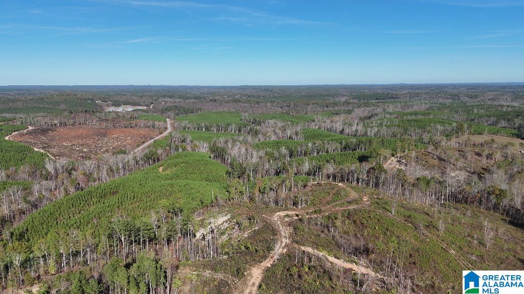 0 County Road 65 Fruithurst, AL 36262 - Photo 6 of 14