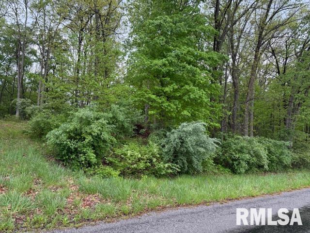 Tbd Country Club Road Marion, IL 62959 - Photo 2 of 8