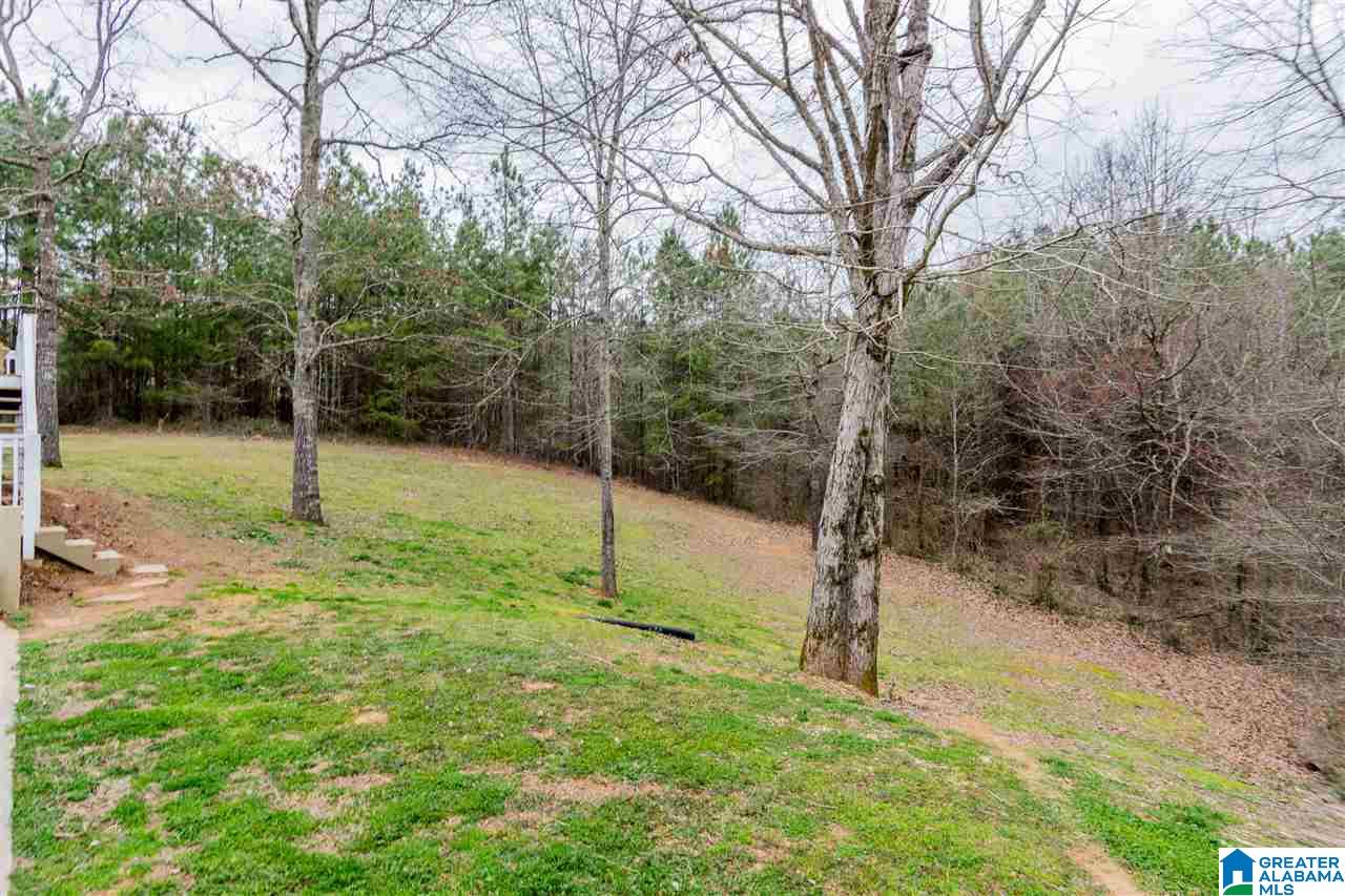 20536 Hephzibah Church Road McCalla, AL 35111 - Photo 23 of 29
