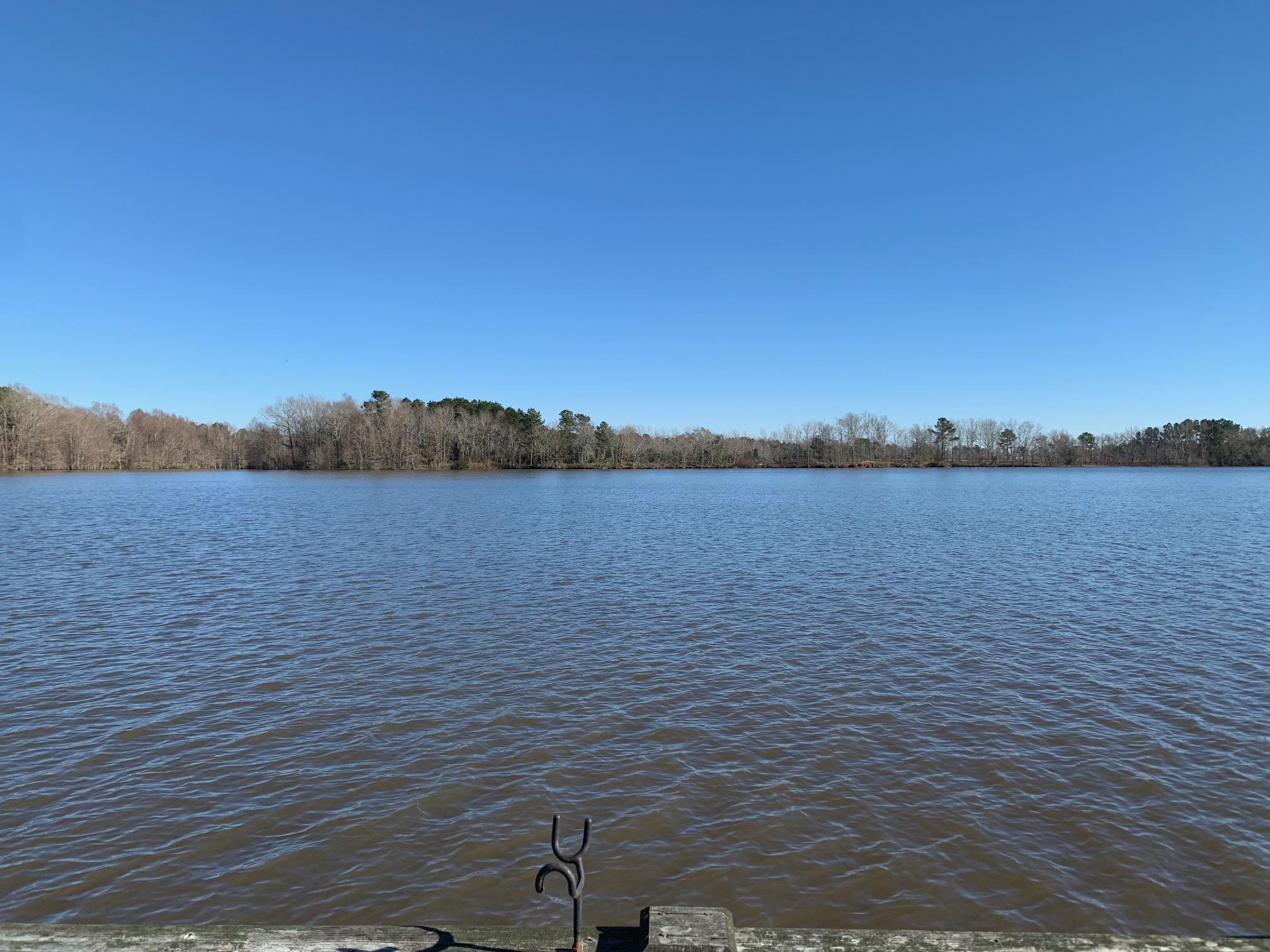 1817 Goat Island Road Summerton, SC 29148 - Photo 21 of 24 IMG_0781