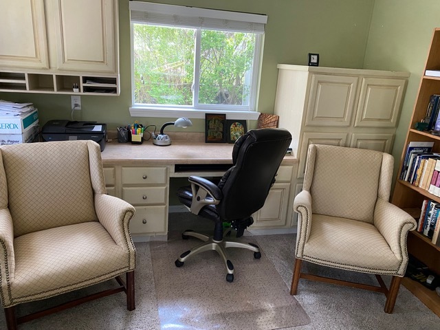 314 Ruth Avenue St. Charles, IL 60174 - Photo 16 of 36 a work room with furniture and a window