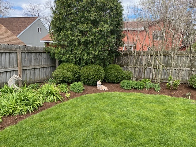 314 Ruth Avenue St. Charles, IL 60174 - Photo 27 of 36 a garden view