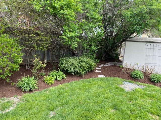 314 Ruth Avenue St. Charles, IL 60174 - Photo 30 of 36 a view of a backyard with potted plants and large trees