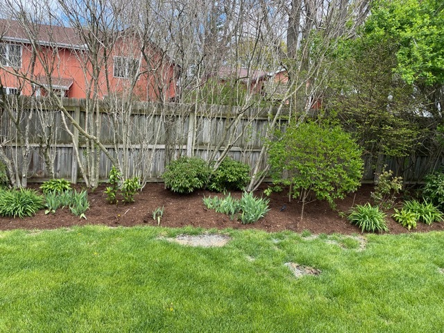 314 Ruth Avenue St. Charles, IL 60174 - Photo 33 of 36 a view of a backyard with potted plants and large trees
