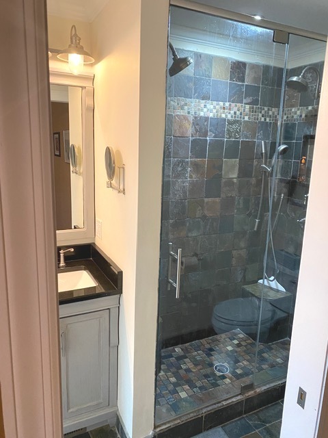 314 Ruth Avenue St. Charles, IL 60174 - Photo 10 of 36 a bathroom with a granite countertop sink a toilet and shower