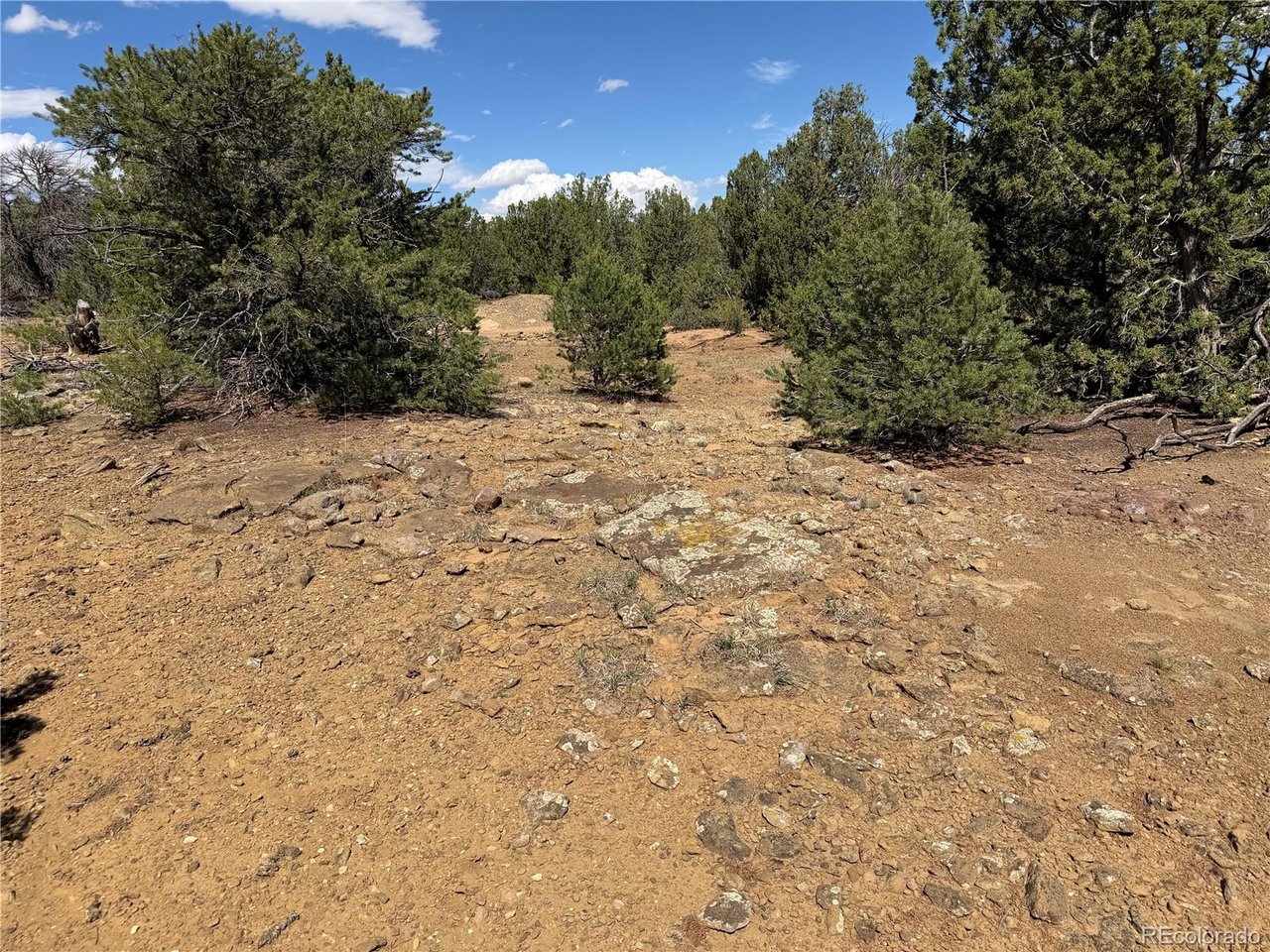 81 Twin Lakes Road Walsenburg, CO 81089 - Photo 9 of 26 Gallery Image 9