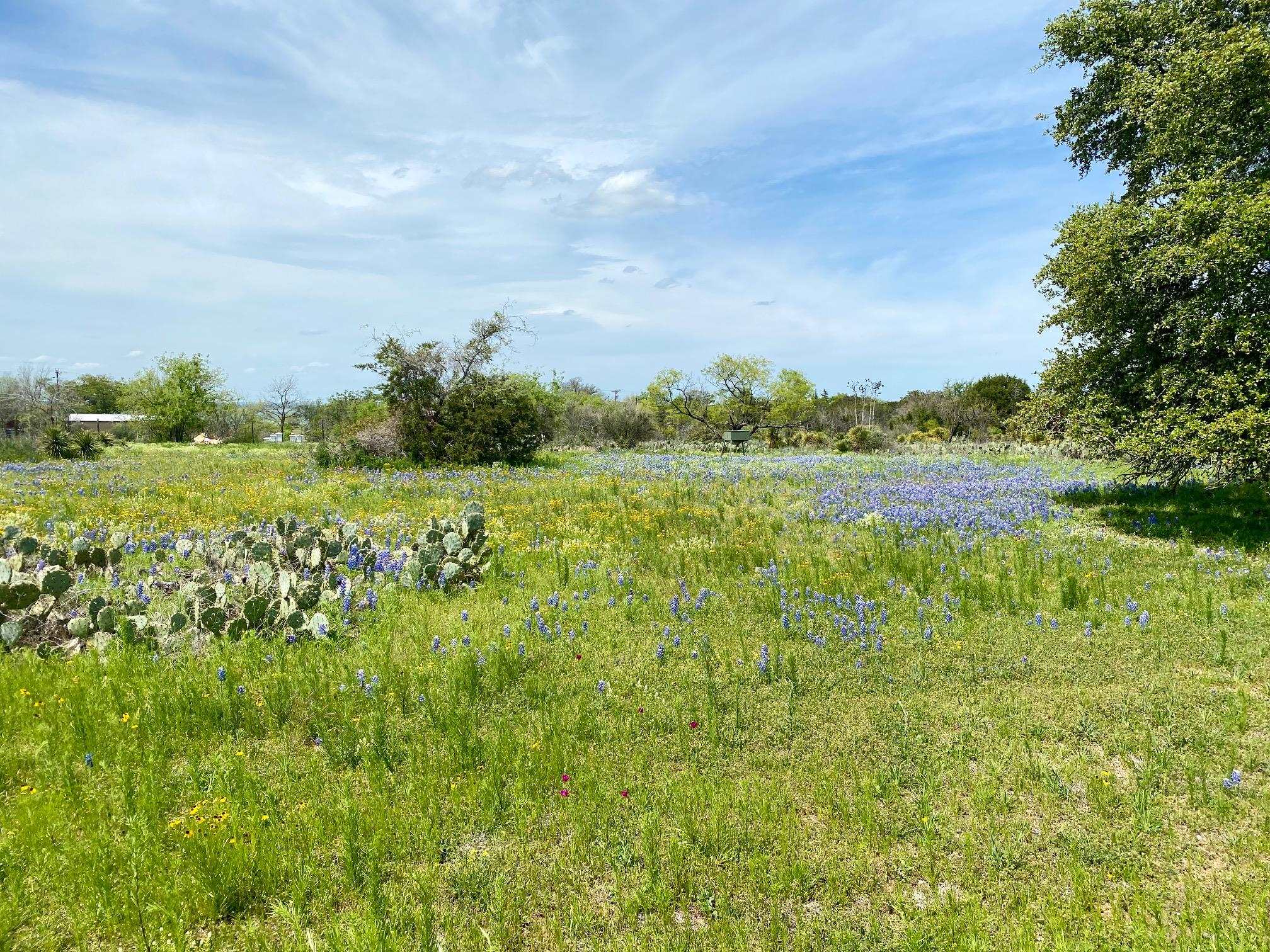 0 Fm 690 Burnet, TX 78611 - Photo 1 of 1