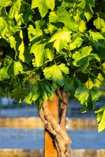 $1,250,000 | 927 Osos Way, Paso Robles, CA 93446