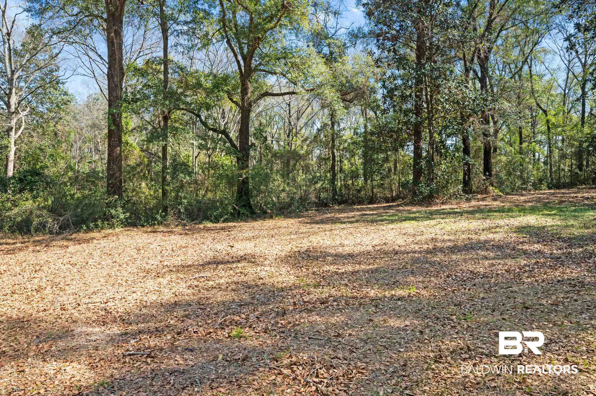 4668 Blackwell Nursery Road Semmes, AL 36575 - Photo 30 of 31