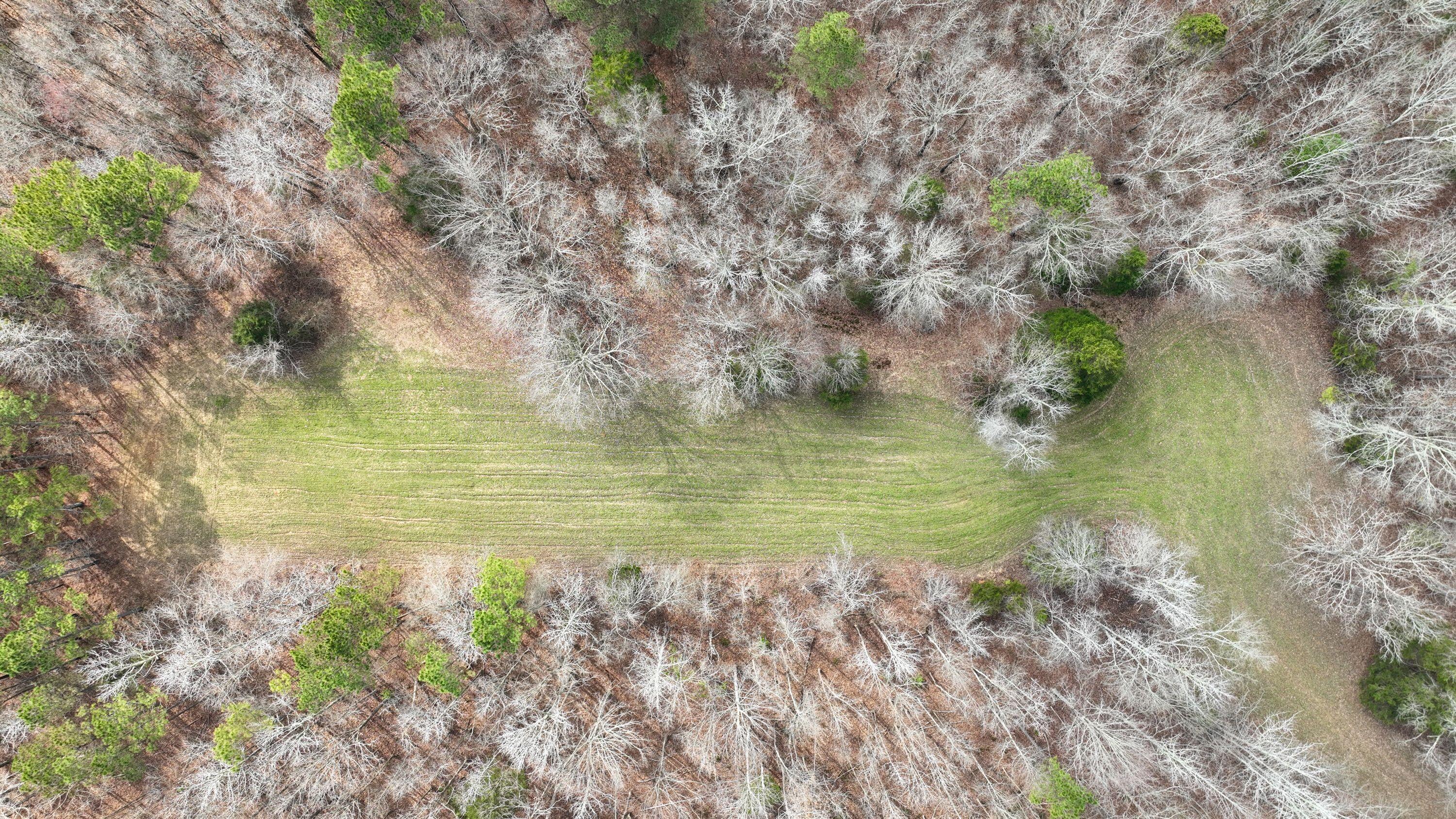 731 Wright Road Tremont, MS 38876 - Photo 33 of 76 Gallery Image 33