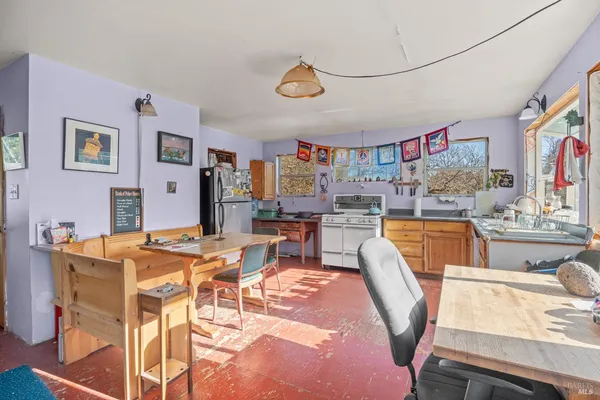 a view of a tree with a yard