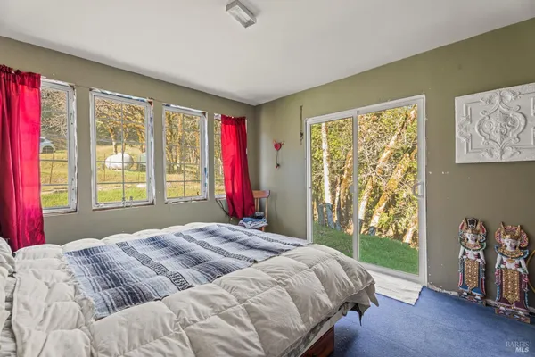 a backyard of a house with a yard and large tree