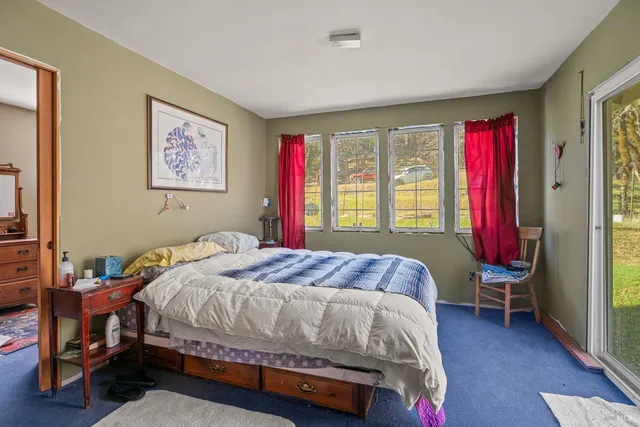 a view of a yard with a tree