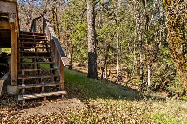 a view of a forest with mountains in the background