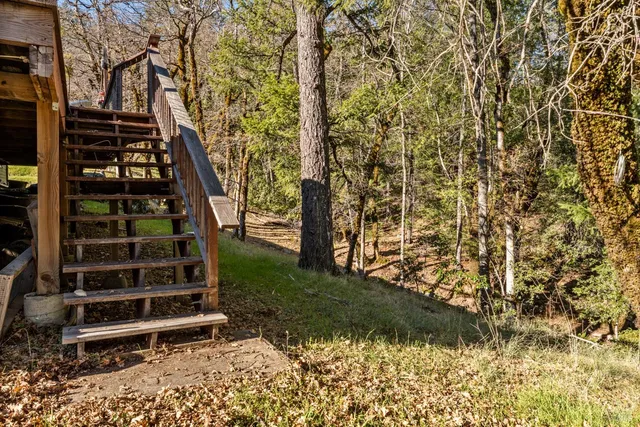 a view of a yard with a tree