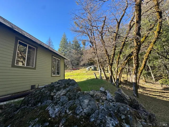 a view of a forest with a building