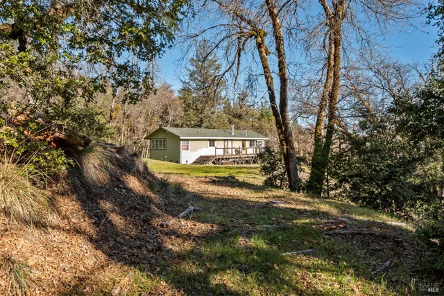 a backyard of a house with a yard and large tree