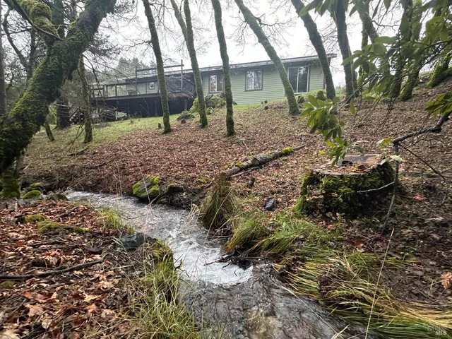 a backyard of a house with lots of green space
