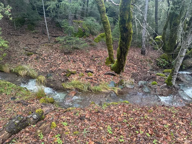 $275,000 | Undisclosed Address, Laytonville, CA 95454