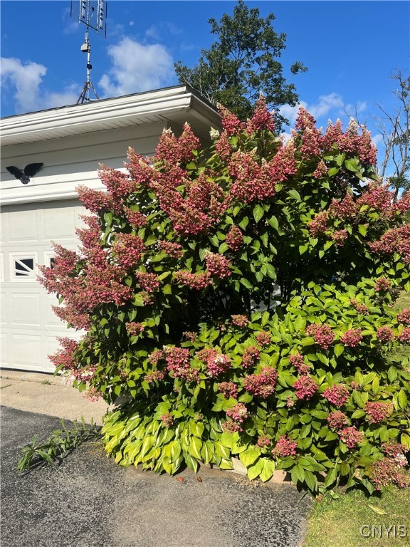 35 Grove Street Adams, NY 13605 - Photo 24 of 24