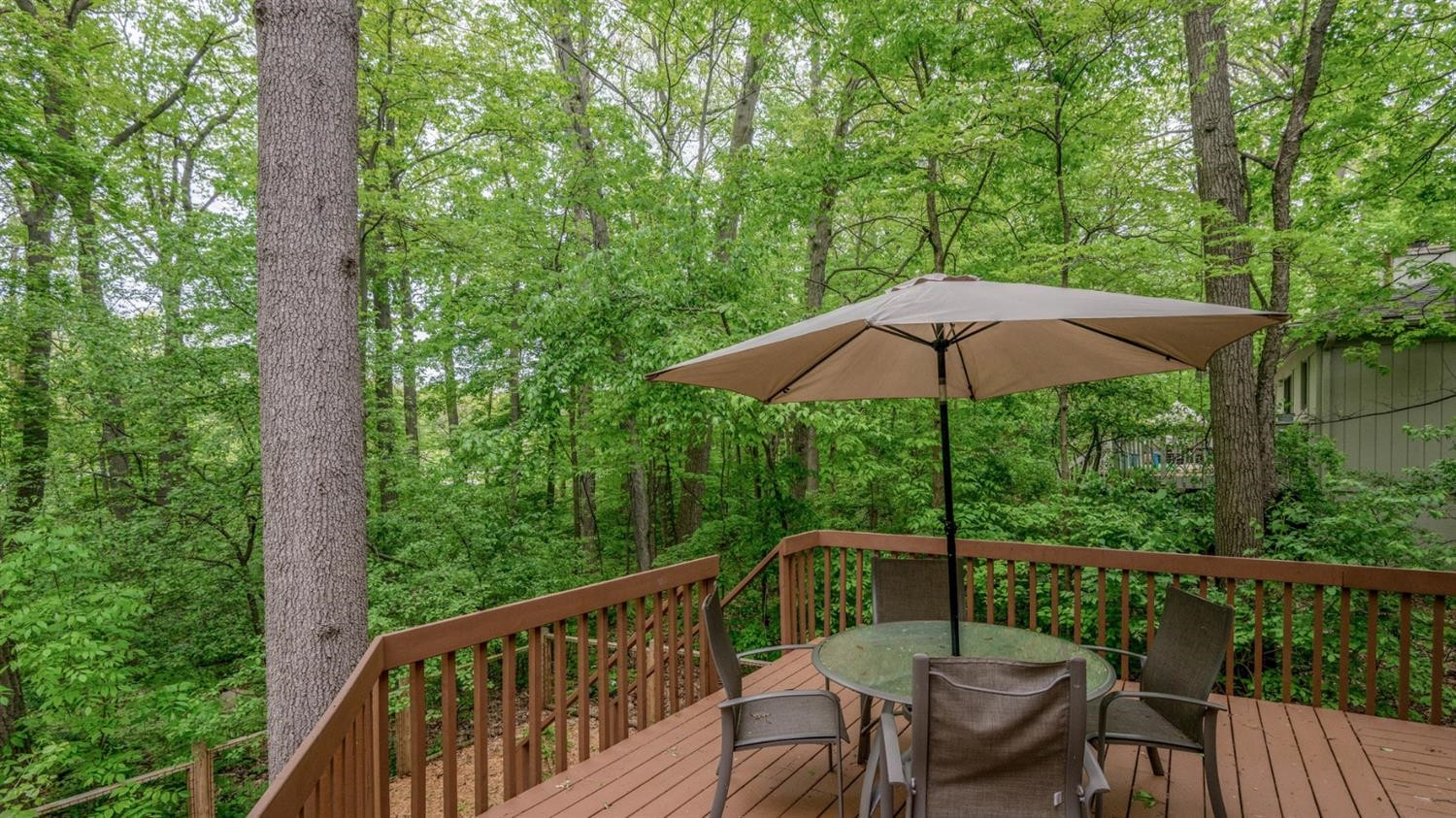 1204 Sunset Road Ann Arbor, MI 48103 - Photo 51 of 58 Photo 51