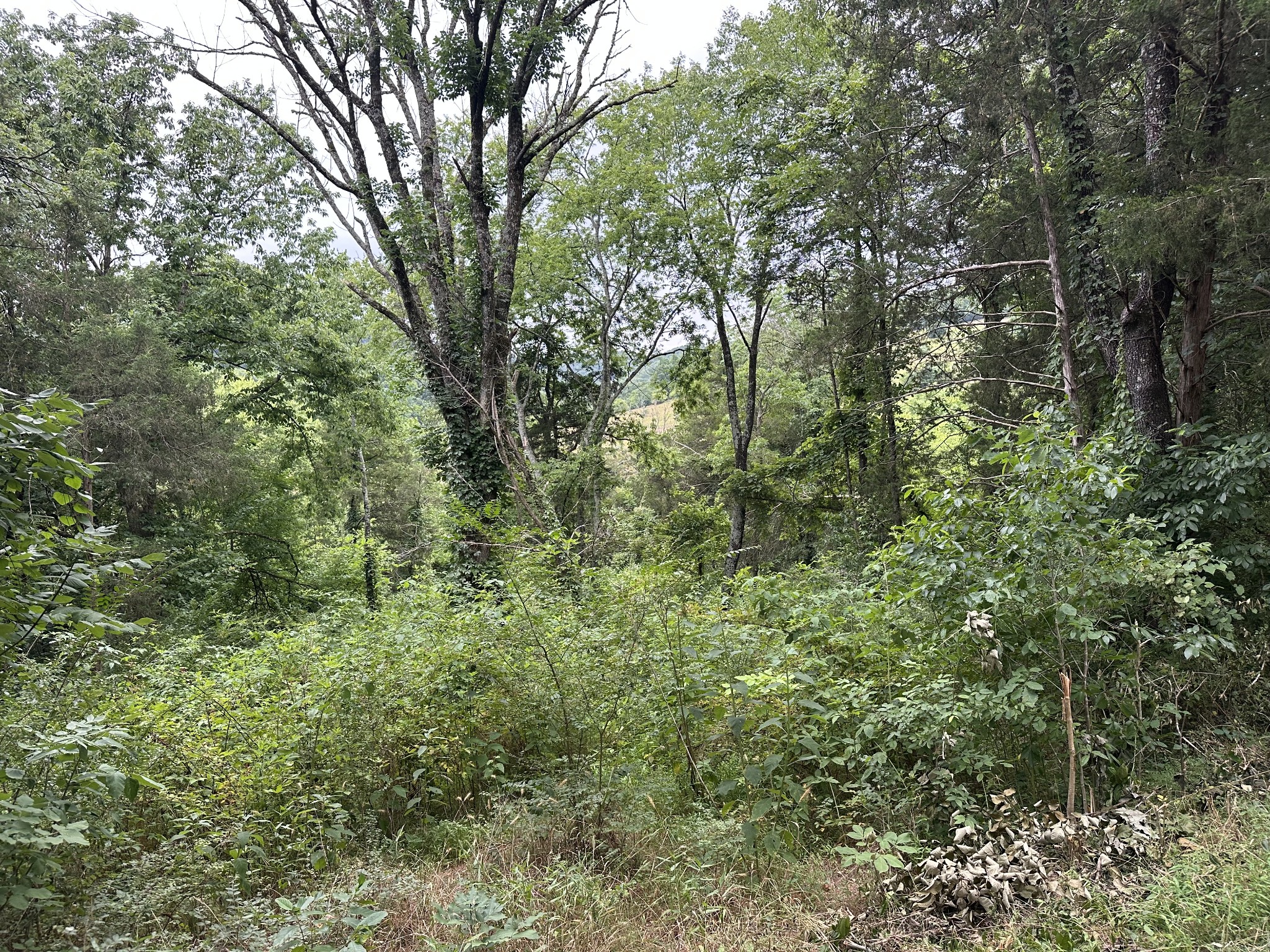 17 Hackett Valley Road Hickman, TN 38567 - Photo 8 of 9