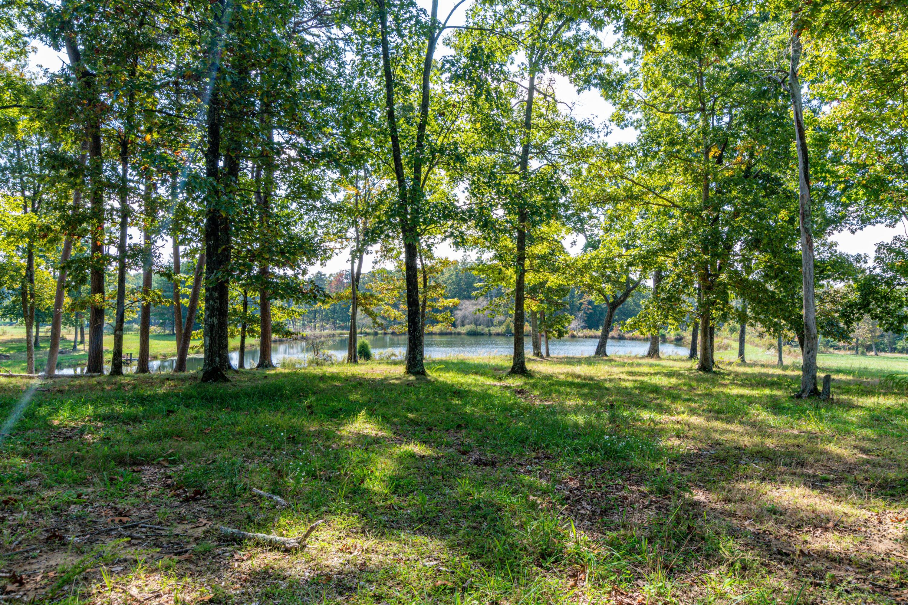 7900 Hixson Springs Road Signal Mountain, TN 37377 - Photo 128 of 159 7900 Hixson Springs Rd-128