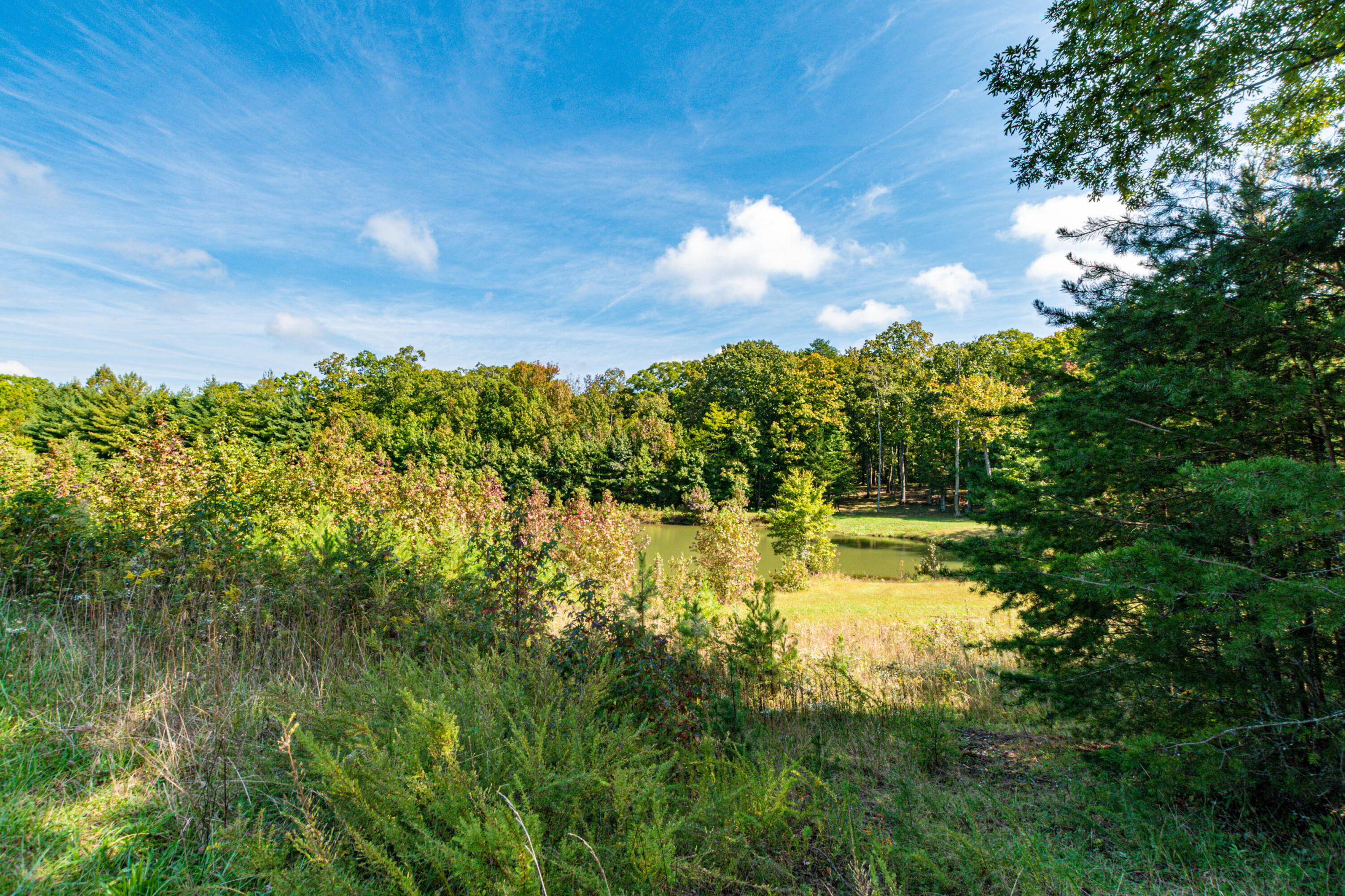 7900 Hixson Springs Road Signal Mountain, TN 37377 - Photo 152 of 159 7900 Hixson Springs Rd-155