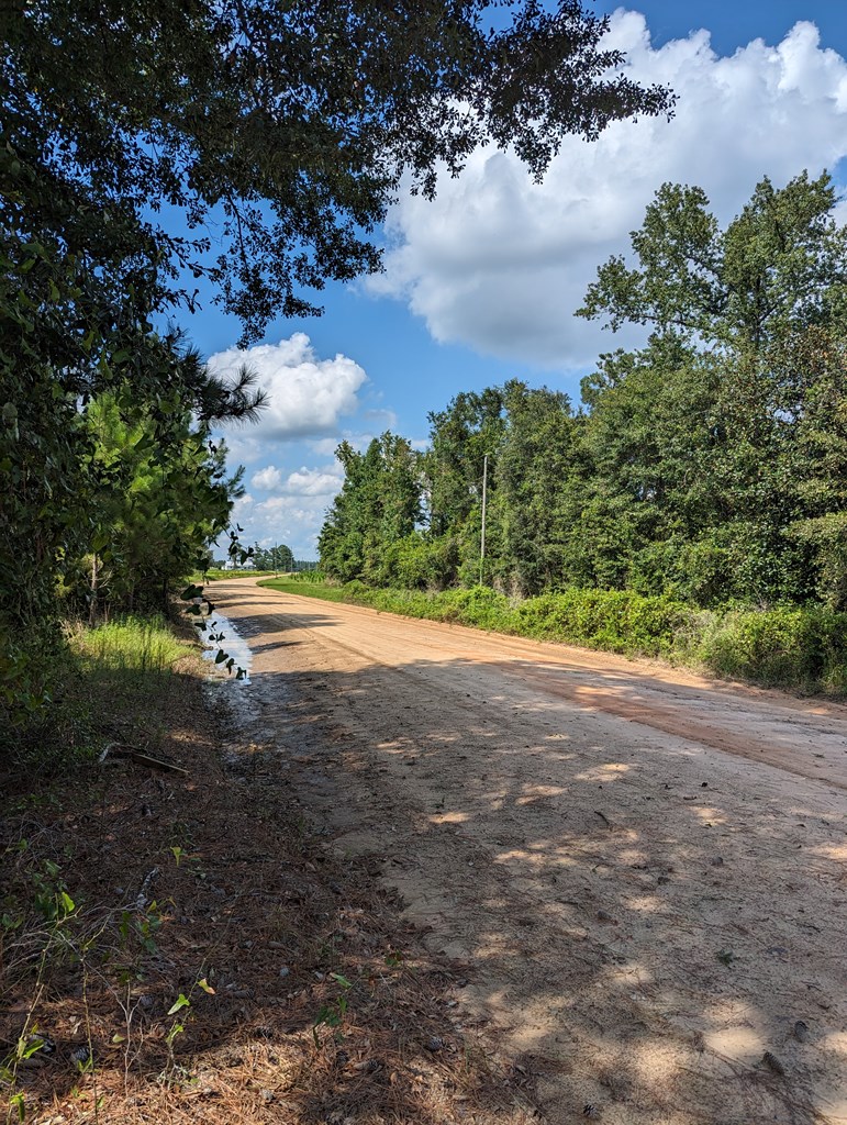 382 Friendship Road Gordon, AL 36343 - Photo 3 of 9