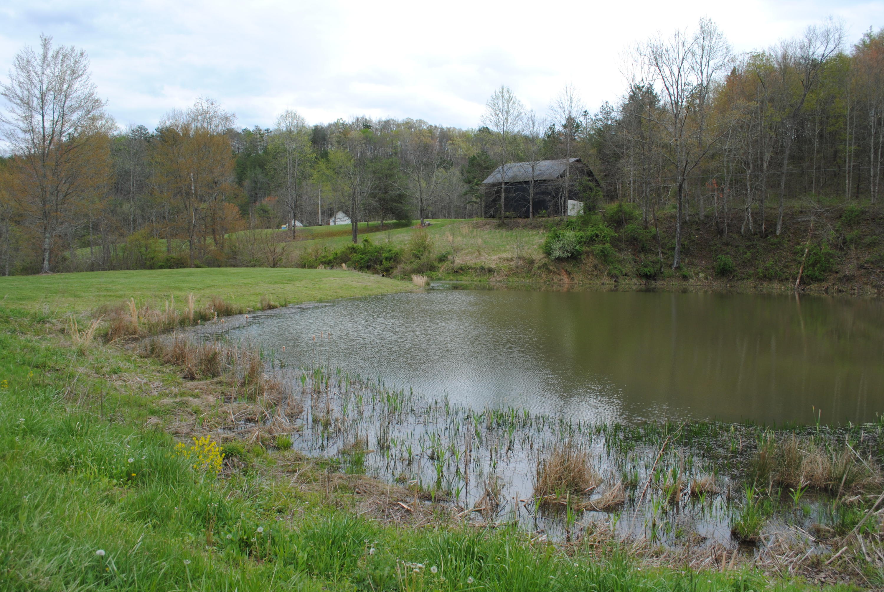 9999 Bowling Branch Road London, KY 40741 - Photo 45 of 49 DSC_0119